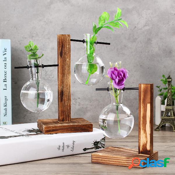 Vasos de vidro transparente de madeira do vintage plantas