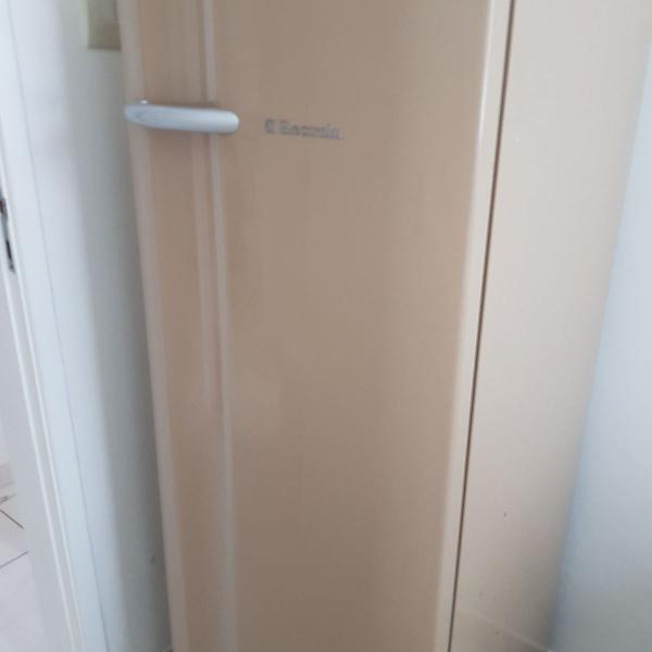 geladeira electrolux re29 127v