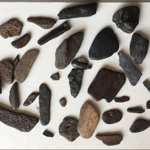 pedras - pedaços de ossos fossilizados