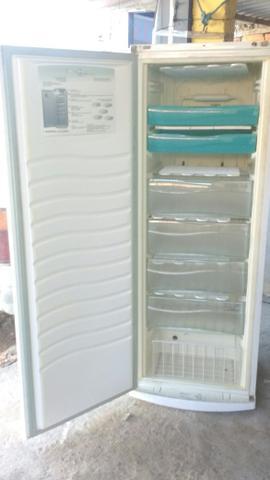 Vendo freezer vertical