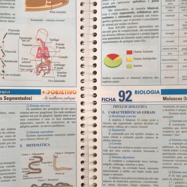 fihas de resumo objetivo 1 e 2