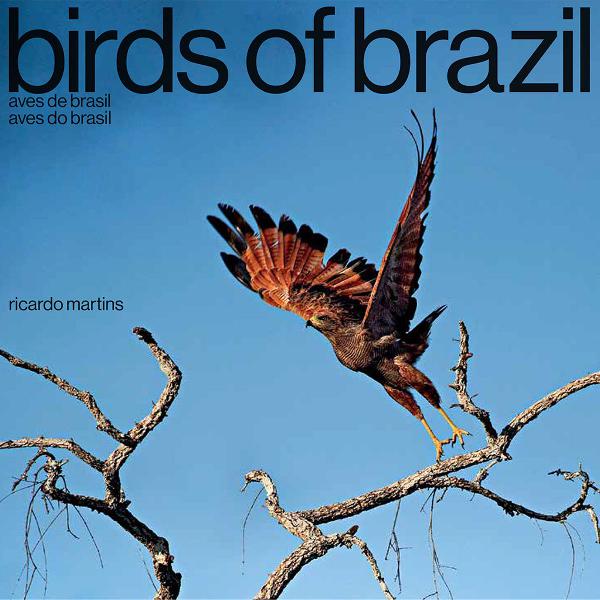 livro birds of brazil - aves do brasil