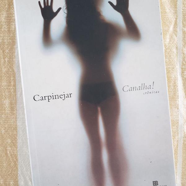 livro: canalha!