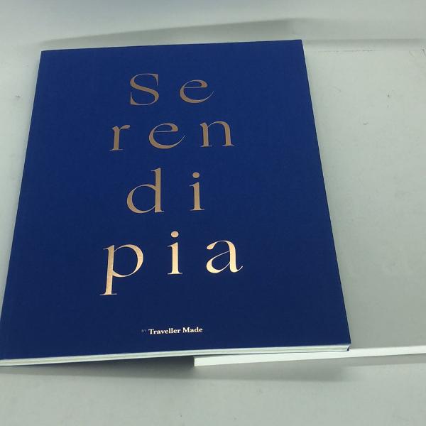 livro: serendipia