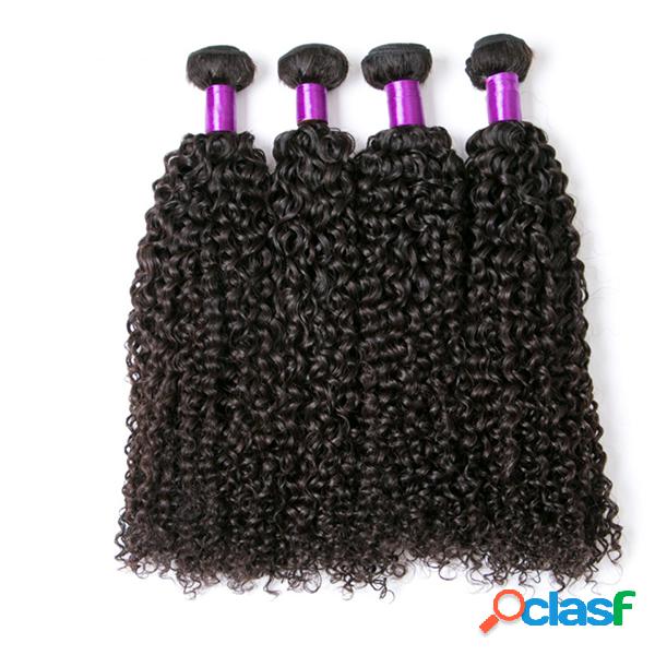 1 cabelo humano encaracolado Kinky brasileiro do Virgin do