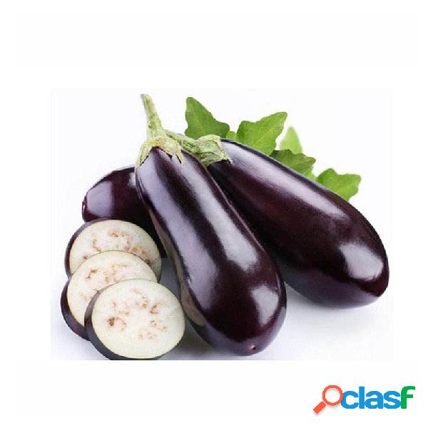 30 PCS / Bolsa De Berinjela Longa Preta Vegetal sementes