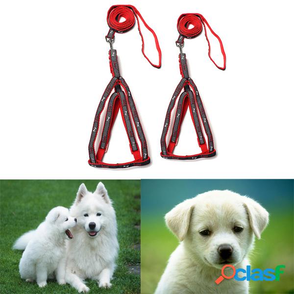 Ajustável Pet Cat Nylon Harness Collar Segurança Walking