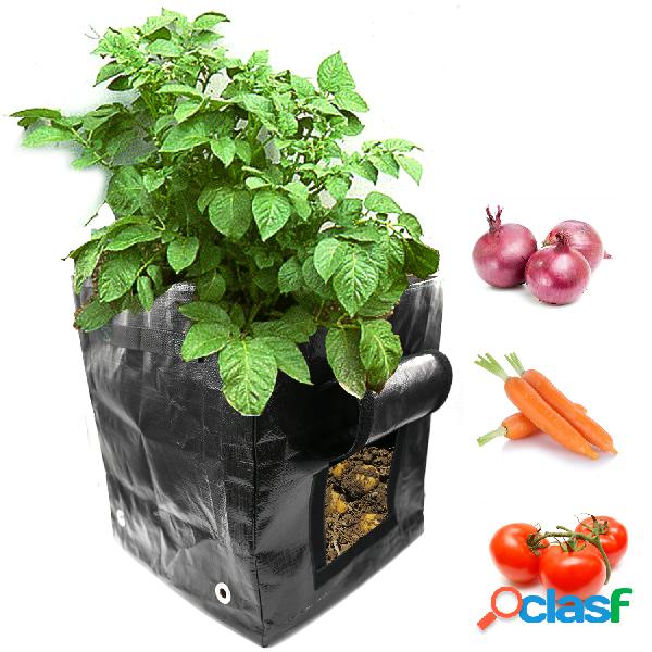 Batata preta Planta Grow Bolsa Balde de jardim Quadrado