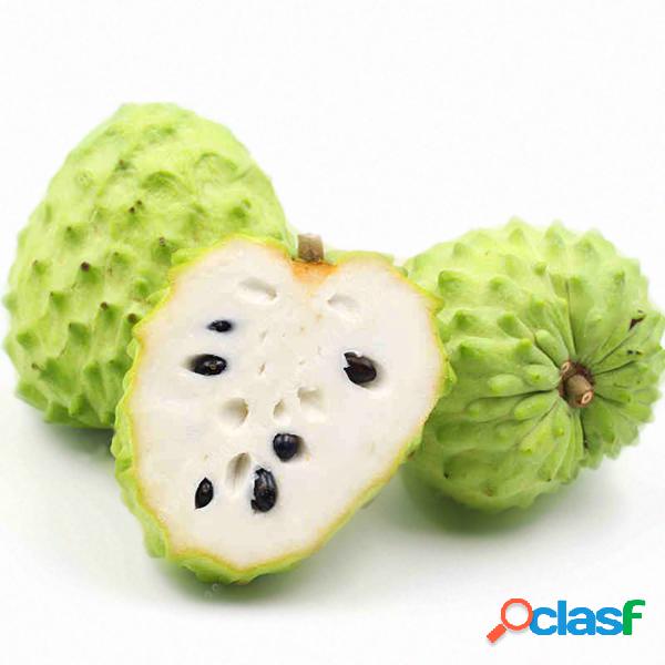 Egrow 20 Unidades / pacote Graviola Graviola Guanabana
