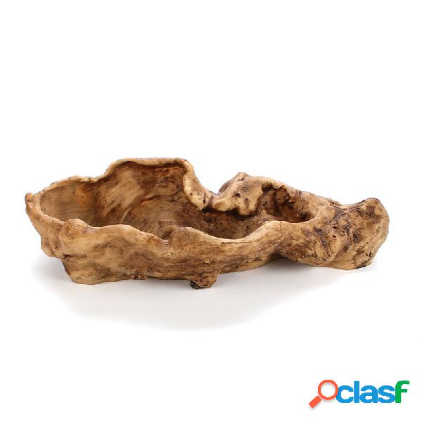 Plantas carnudas flor pote estilo pastoral casa jardinagem