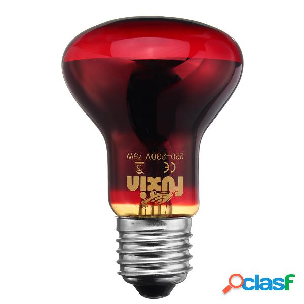 R63 25W 50W 75W 100W Red Nightlight Aquecedor Reptile Light