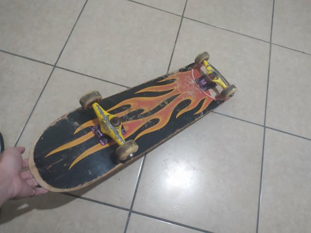 Skate usado