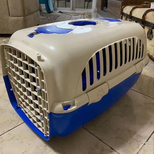 casinha de viagem para pet