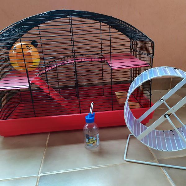 gaiola para hamster arco casarão + roda 20cm