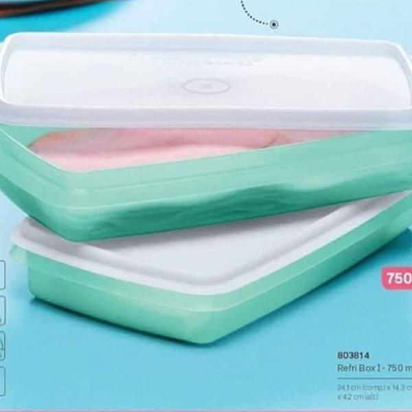 2 Porta Frios Tupperware