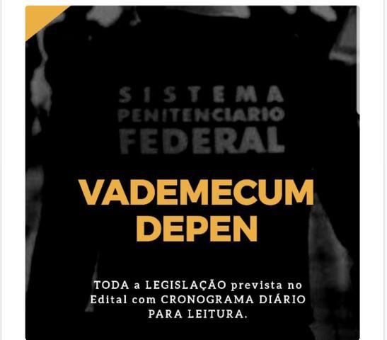 Depen - agente federal de execução penal - legislação e