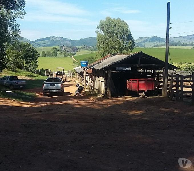 Fazenda 40 alqueires em Caldas