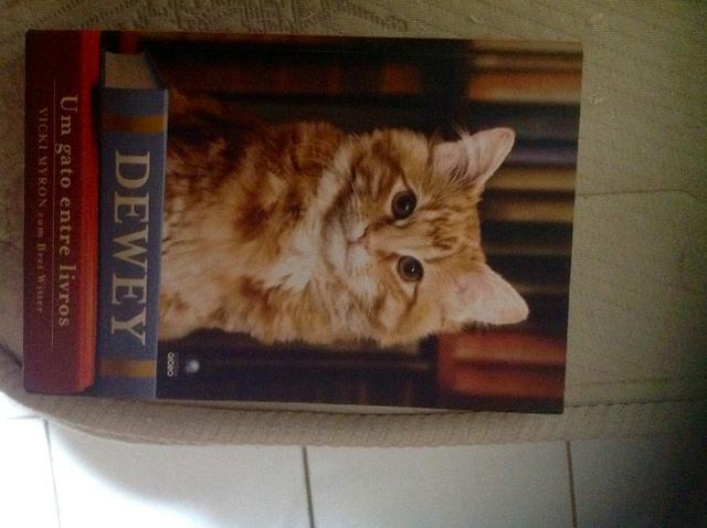 Livros Romanciados (Histórias de gatos)
