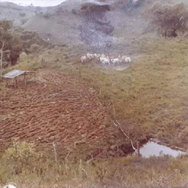 Terreno Rural Cambuí Minas Gerais