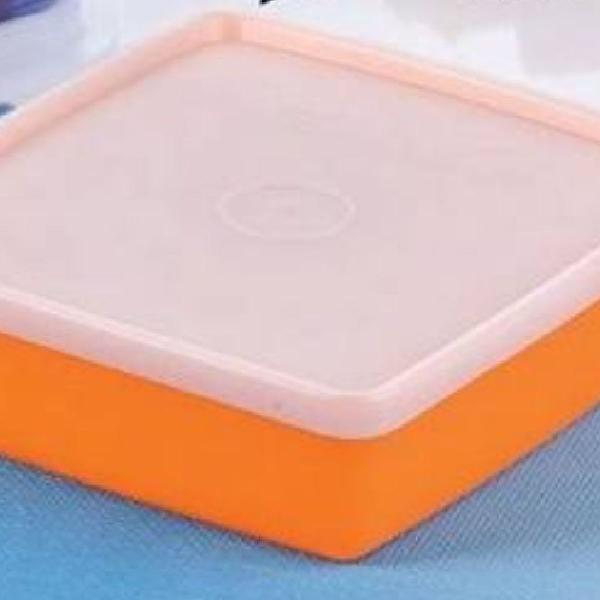 Tupperware Refri Box Papa