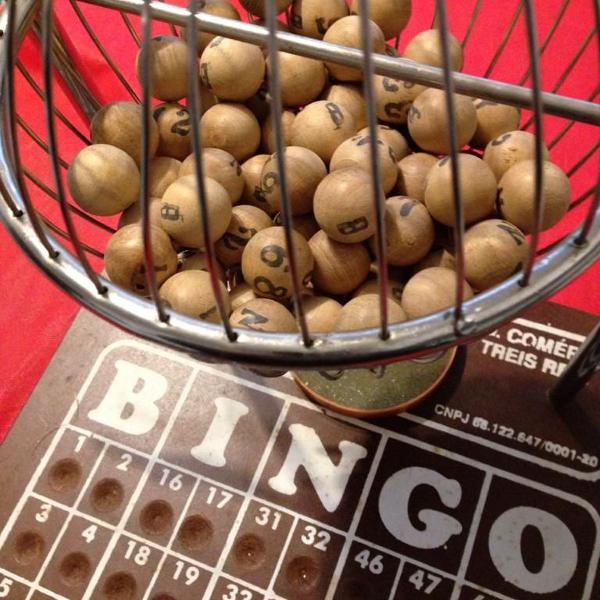 jogo bingo profissional