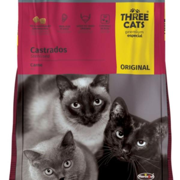 three cats - original gatos castrados