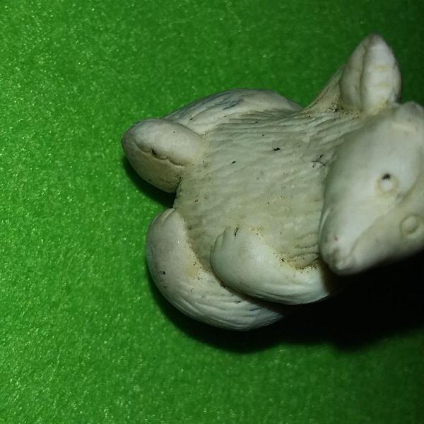 urso que escreve