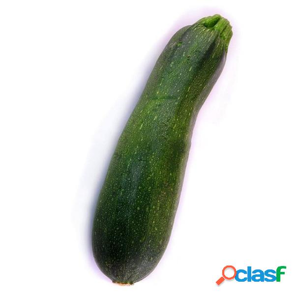 Egrow 20 Unidades / pacote de Abobrinha Squash Sementes