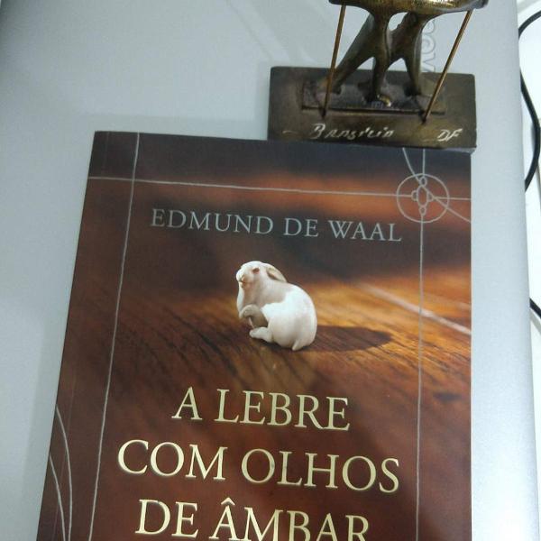 livro a lebre com os olhos ambas