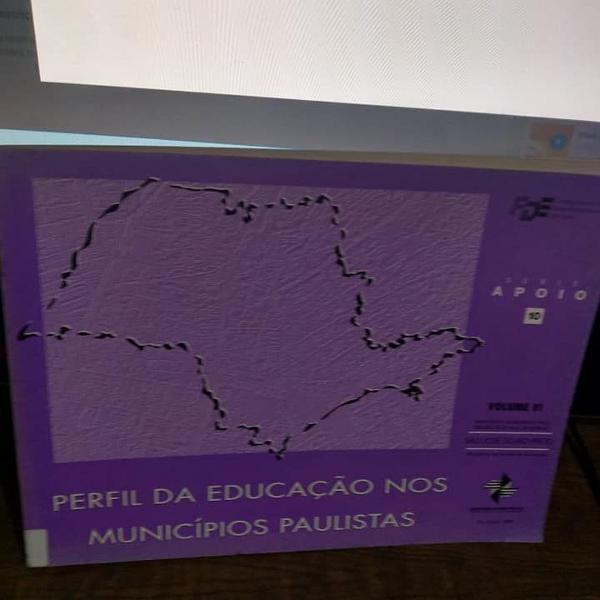 perfil da educação nos municipios paulistas - volume vi -