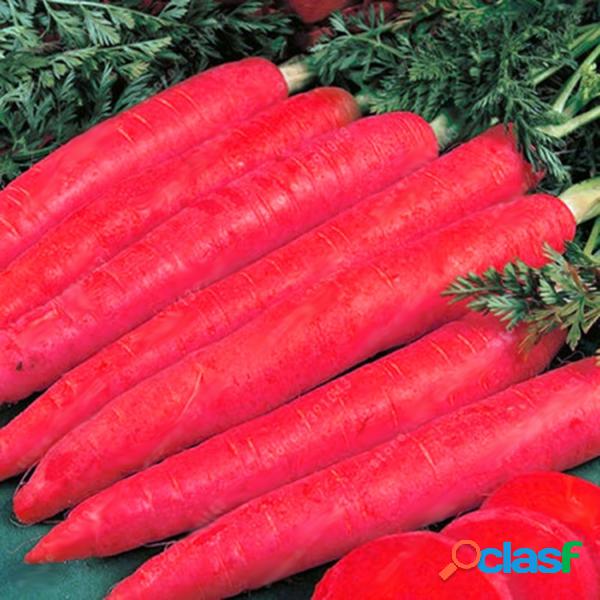 Egrow 500 Unidades / pacote Sementes De Cenoura Coloridas