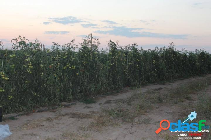 SÍTIO COM 10 HECTARES EM SORRISO-MT