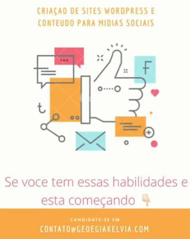 WordPress e Conteúdo para mídias