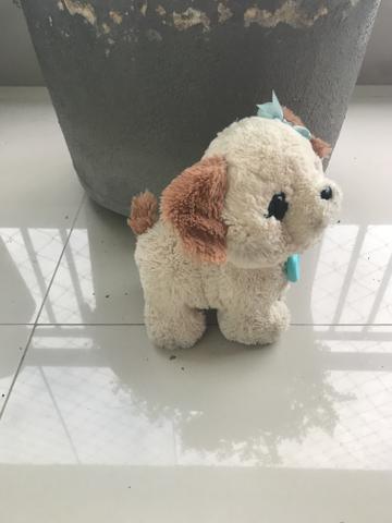 Cachorrinho
