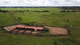 Fazenda para soja e pecuária em Rondônia