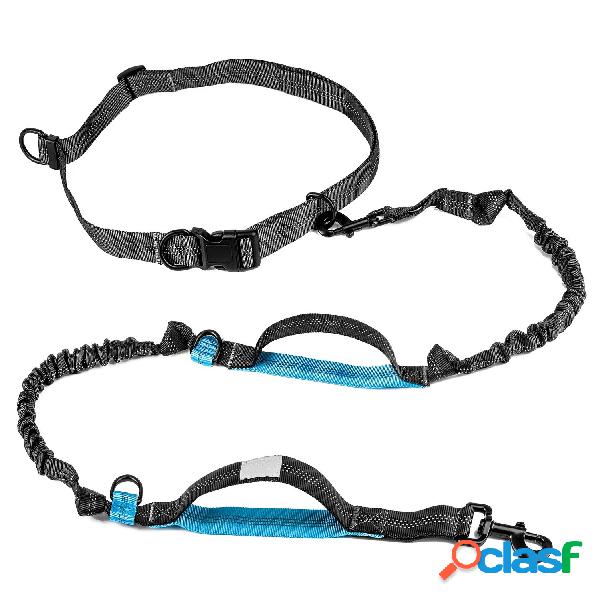 4 cores mão livre Pet Cachorro trela de chumbo Elastic