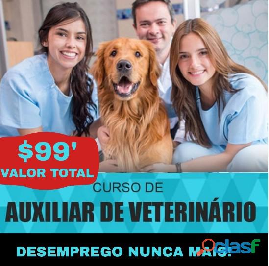 Curso completo auxiliar de veterinária a distância