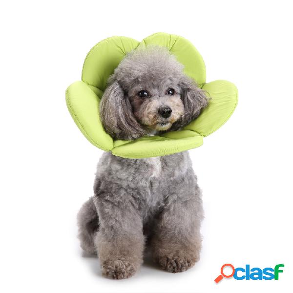Esponja Macia verde Flor Forma Dog Cat Collar Pet Círculo