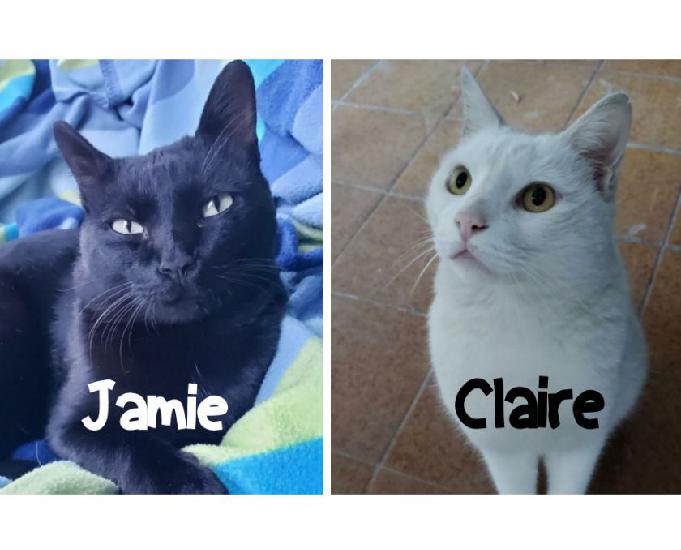 Jamie e Claire, carentes e amorosos