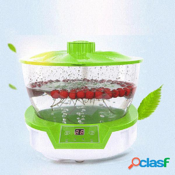 Máquina de ozônio Máquina de lavar legumes Purificador de