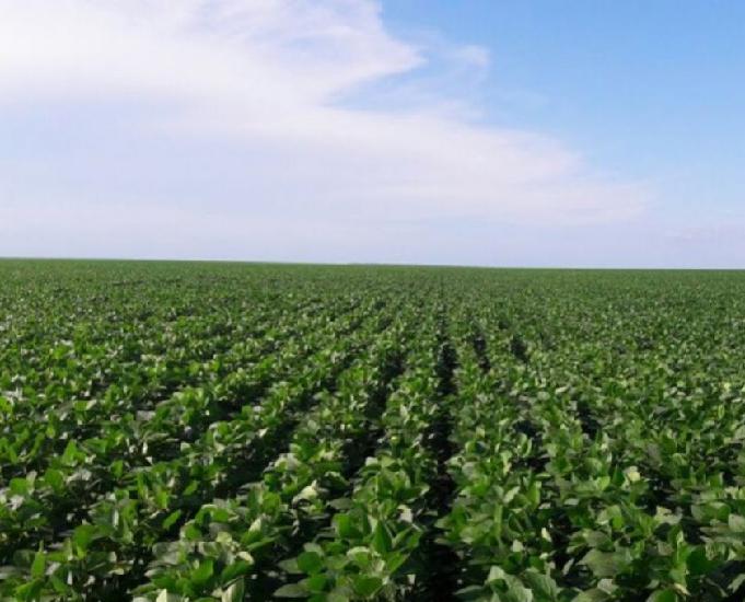 OPORTUNIDADE DE FAZENDA COM 748 HECTARES EM DIAMANTINO MT