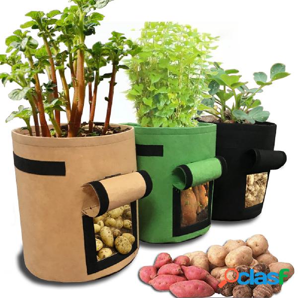 Tomate Batata Cresce Bolsa Frutas Legumes Panelas Vasos de