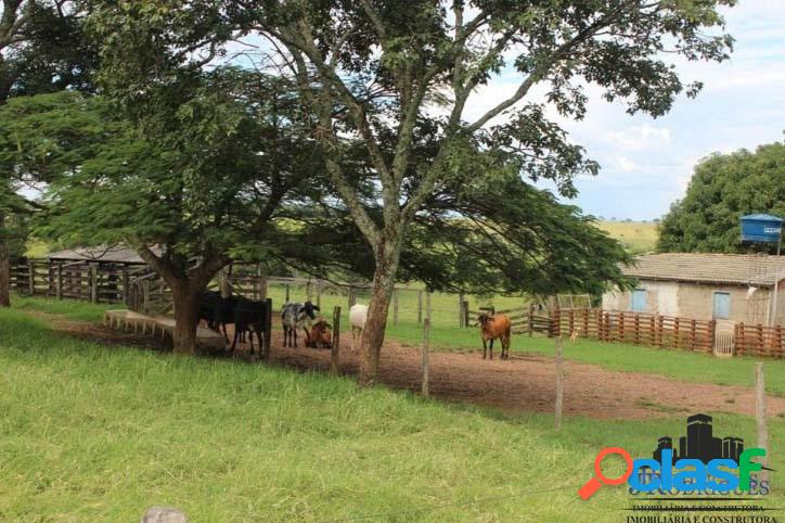 CHÁCARA EM PIRACANJUBA COM 43 HECTARES IDEAL PARA GADO