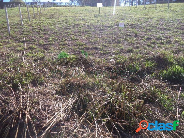 Excelente Terreno em Atibaia 1000 metros R$ 130 Mil.