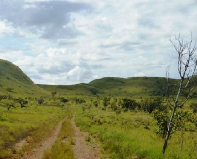 FAZENDA 250HA Região das Traíras entre Paracatu e Guarda