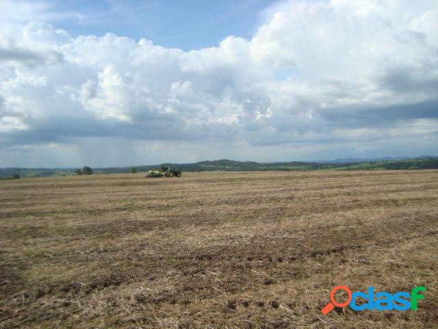 Fazenda em Morrinhos com 494 Hectares - Terra de Cultura