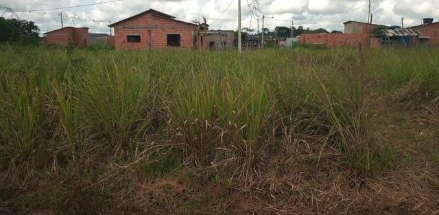 Terreno no ramal bom Jesus - MGF Imóveis