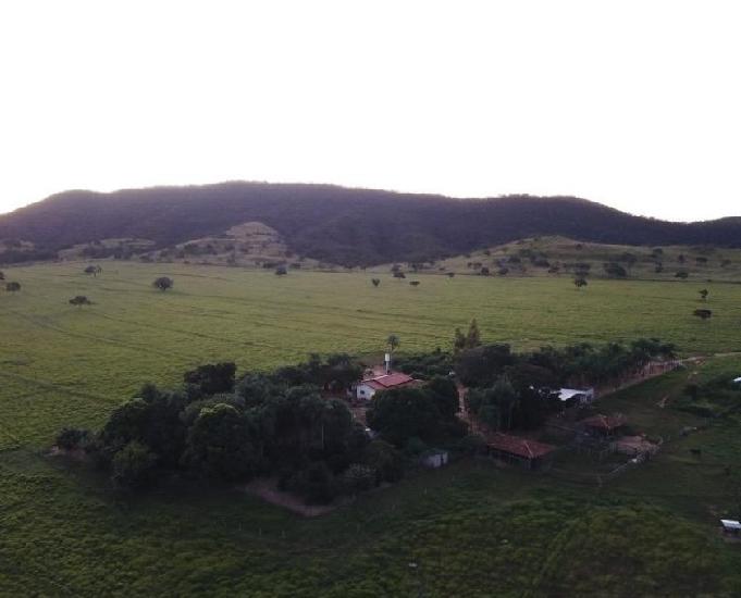 VENDA-Fazenda 331,5 hectares (68,5 Alqueires Goianos)-GOIAS