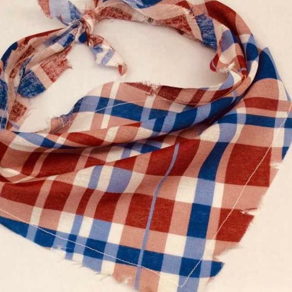 bandana xadrez para cães festa junina