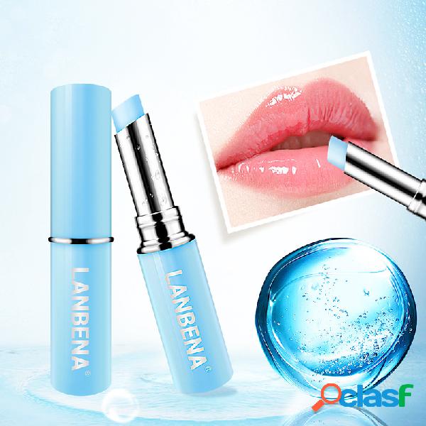 Ácido hialurônico Lip Balm Hidratante Lip Balm Exfoliante